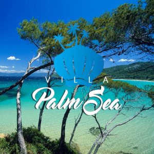 https://papillonweb.fr/wp-content/uploads/2022/09/Villa-palm-sea-300x300.png